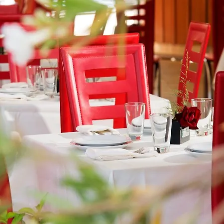 Отель Calypso 3*